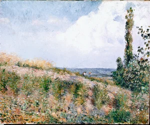 Landschaft