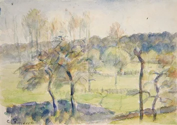 Frühling