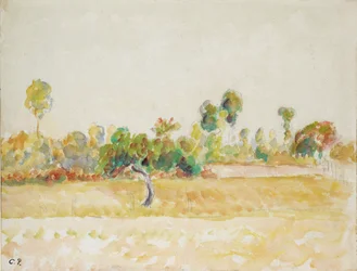 Studie des Obstgartens in Eragny-sur-Epte, gesehen vom Haus des Künstlers, ca. 1886-1890
