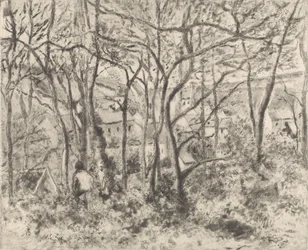 Die Wälder von L
