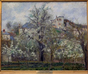 Gemüsegarten und im Frühling blühende Bäume in Pontoise (blühende Pflaumenbäume), 1877, Maße 0.65 x 0.81 m, Paris, Musée d
