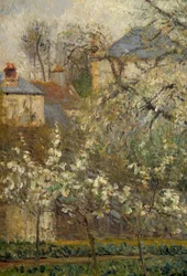 Gemüsegarten und blühende Bäume im Frühling in Pontoise