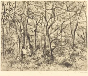 Waldlandschaft bei L