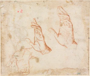 Handstudie (verso)