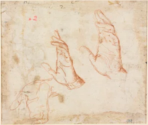 Studie von Händen verso, ca. 1590