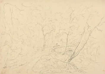 Holne Chase Brücke und Fluss, 30. Mai 1833