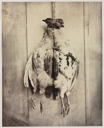 Rebhühner recto, L.D. Campbells Grabmal verso, ca. 1861