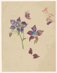 Blumenstudie