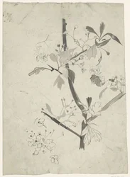 Zweig mit Blüten