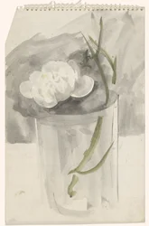 Weiße Blume in einem Glas