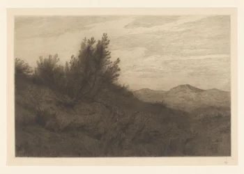 Dünenlandschaft