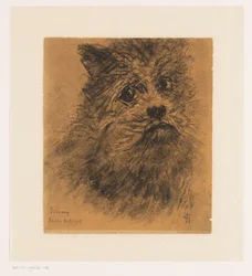 Porträtstudie des Hundes Jimmy