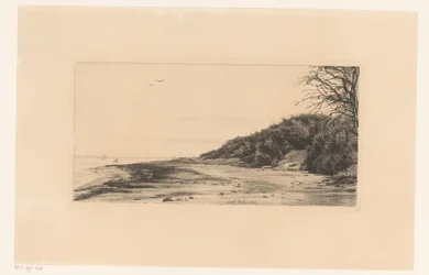 Waldrand am Wasser