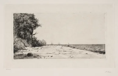 Von der Nordküste Seelands. Hornbækplantage