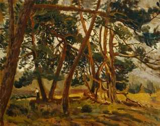 Frau in Waldlandschaft
