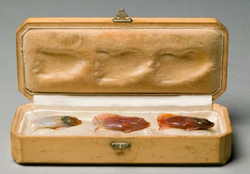 Set aus drei Fischen in Originalbox, ca. 1890