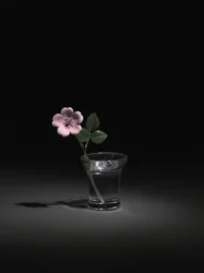 Wilde Rose, späte 1800er-frühe 1900er