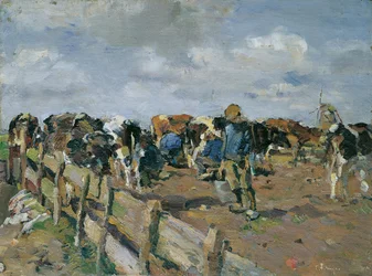 Melken der Kühe
