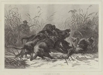 Eine Wildschweinjagd