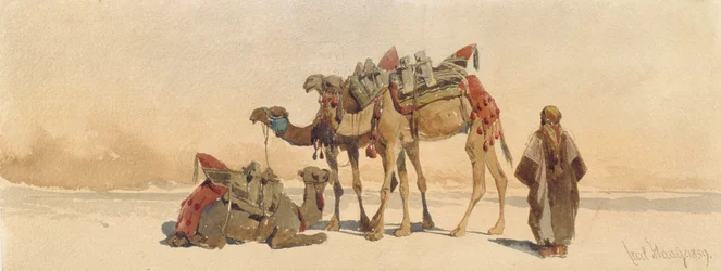 Rast mit drei Kamelen in der Wüste, 1859