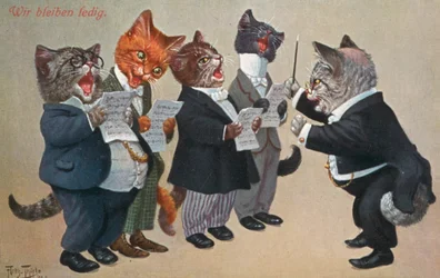 Humorvolle Katzenpostkarte