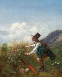 Der Schmetterlingsfänger (Botaniker)