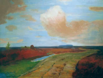 Abendstimmung im Moor