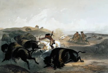 Indianer jagen den Bison