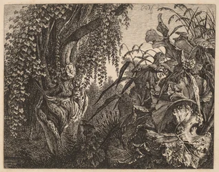 Ein Dickicht; ein knorriger Weidenbaum links, ein Dickicht aus Vegetation rechts