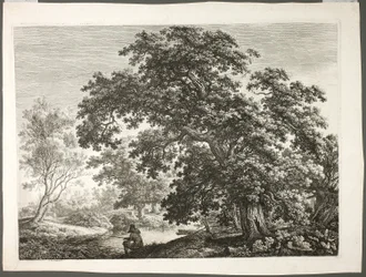 Fischer in bewaldeter Landschaft