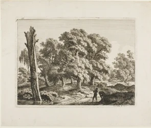 Landschaft