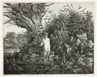Nymphe in einem sumpfigen Wald