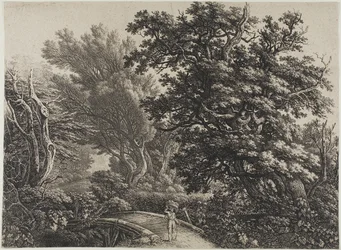 Rustikale Brücke in einem verworrenen Wald