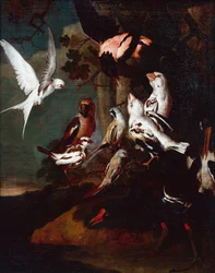Teichhuhn, Schwalbe, Finken und andere Vögel in einer bewaldeten Flusslandschaft