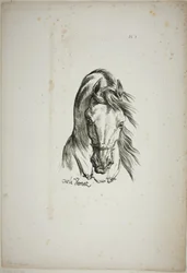 (Detail) Pferdekopf, vergrößert auf dreifache Größe, Normannische Königsgarde, Nr. 1