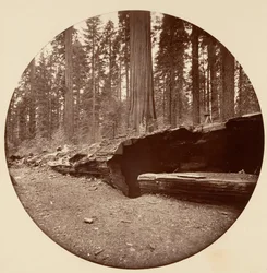 Mammoth Three Grove Hotel, Calaveras Co