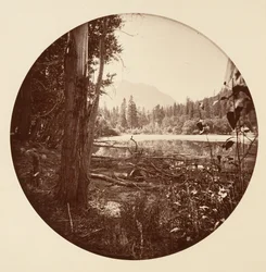 [Yosemite-Nationalpark, Kalifornien]