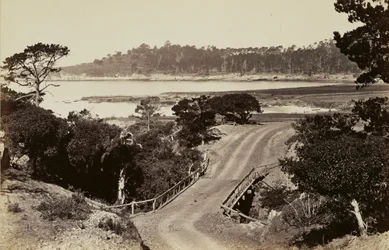 Küstenansicht in der Nähe von Monterey