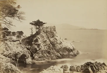 [Cypress Point]