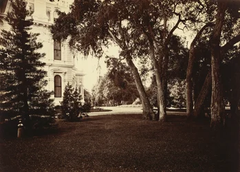 Thurlow Lodge - Rasen und Haus. Von Barron Cluster.