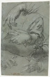 Studien von Händen (recto)