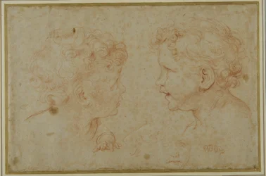 Studien des Kopfes und der linken Hand eines Putto