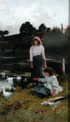 Enten füttern