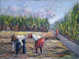 Zuckerrohrernte, 1986