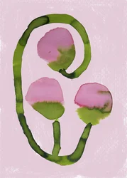 Abstrakte Rosa Blüten