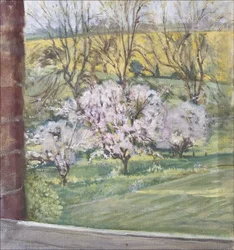 Frühling aus unserem Fenster