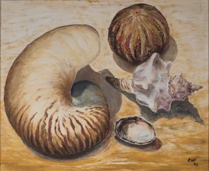 Muscheln, 1993