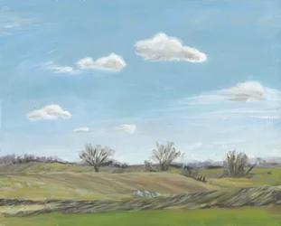 Offene Landschaft