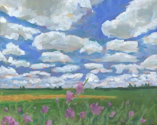 Sommerhimmel über Wildblumen