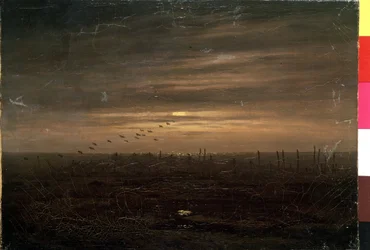 Die Fischernetze